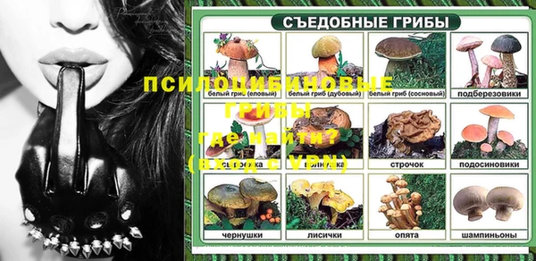 гидра Волоколамск