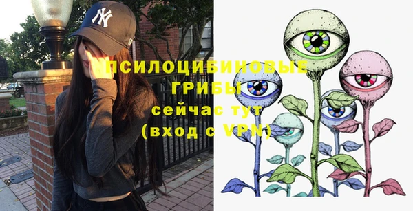 гидра Волоколамск
