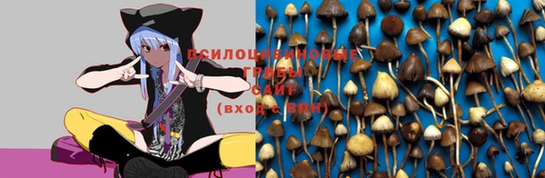 гидра Волоколамск