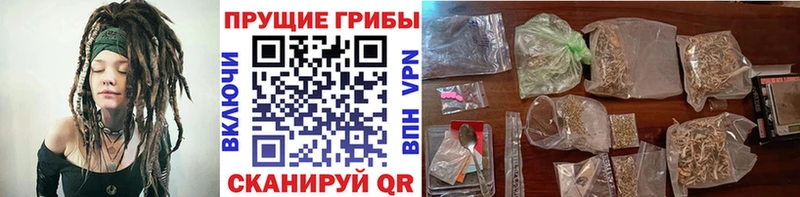 Купить где  Высоковск  Галлюциногенные грибы мицелий 